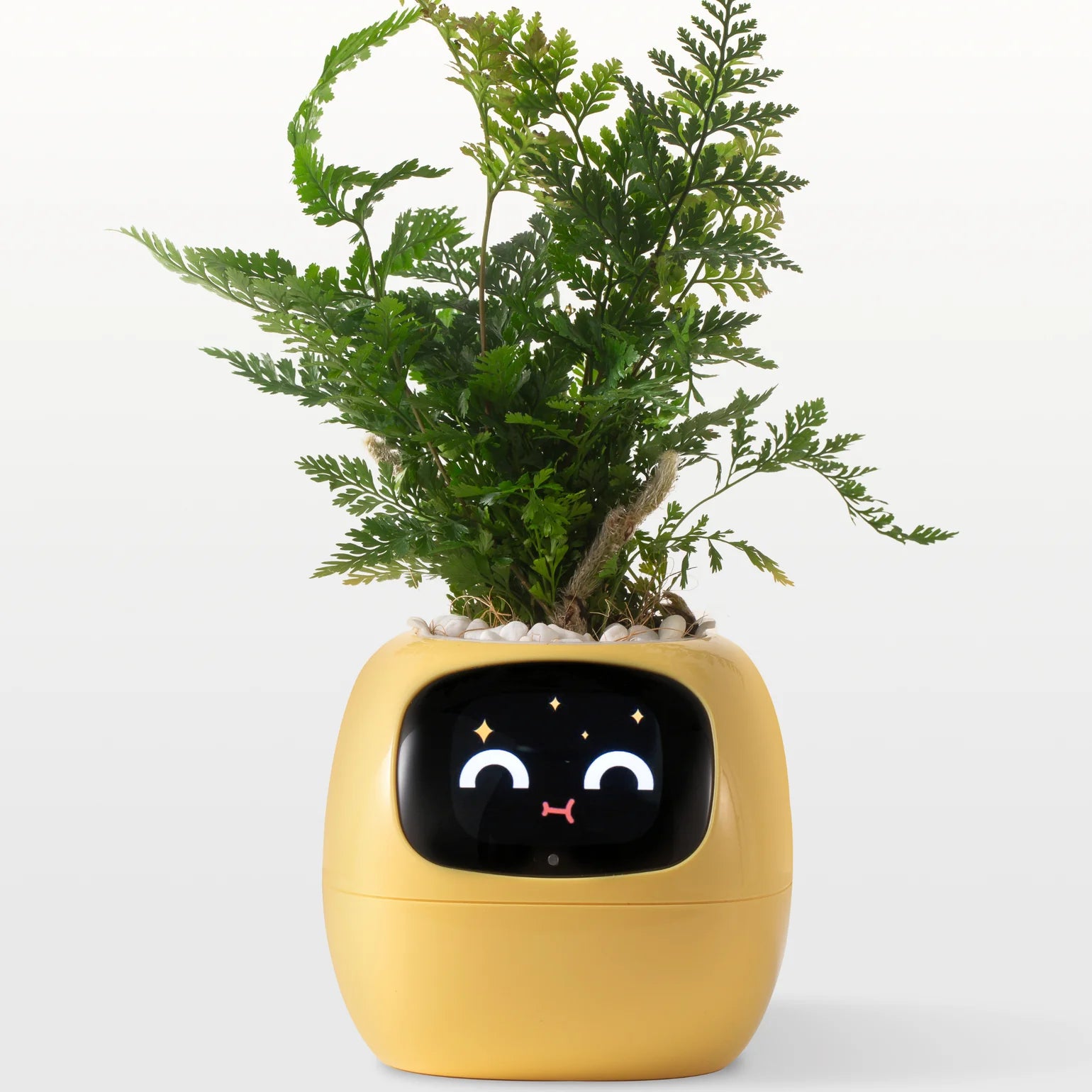 IvySense® Smart Pot