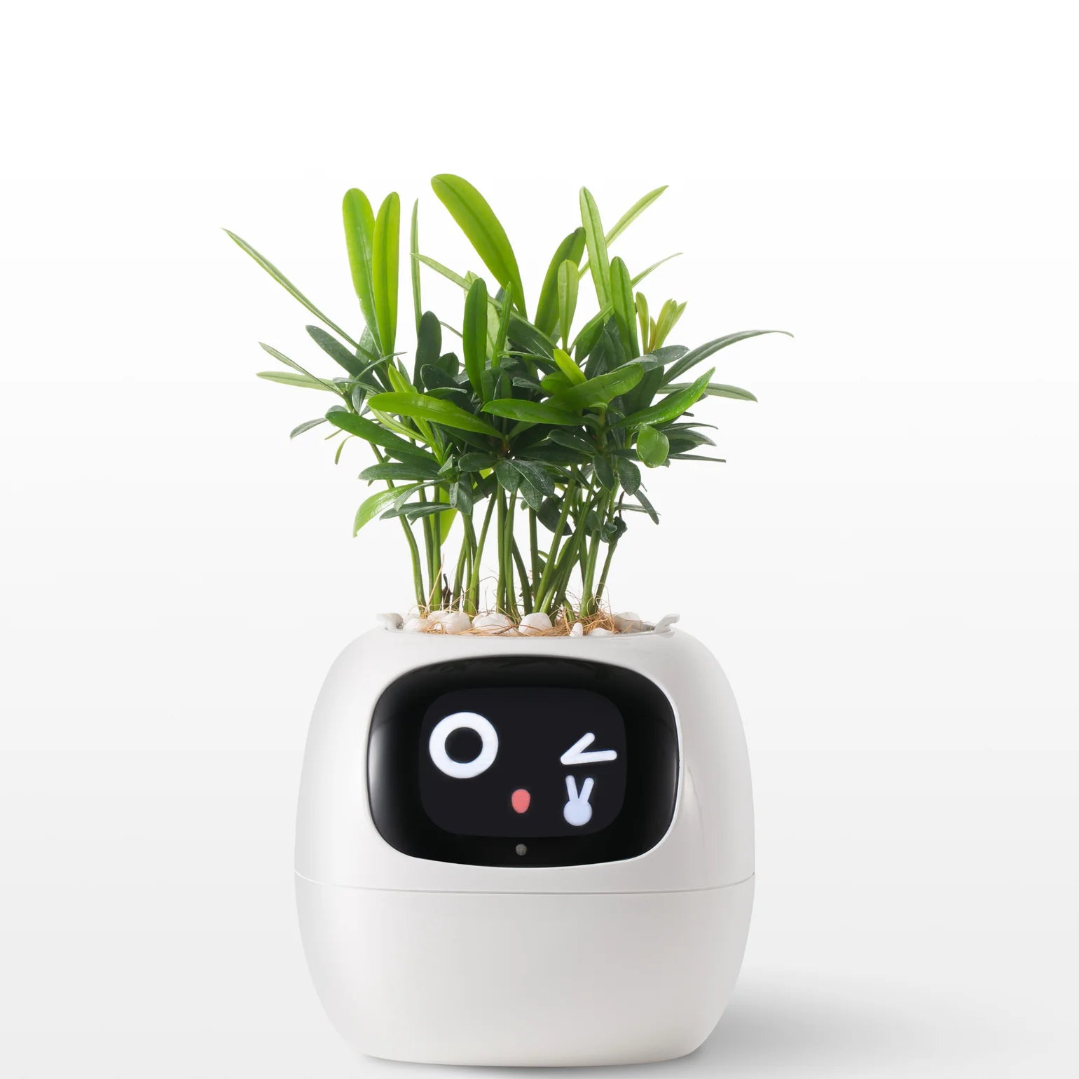 IvySense® Smart Pot