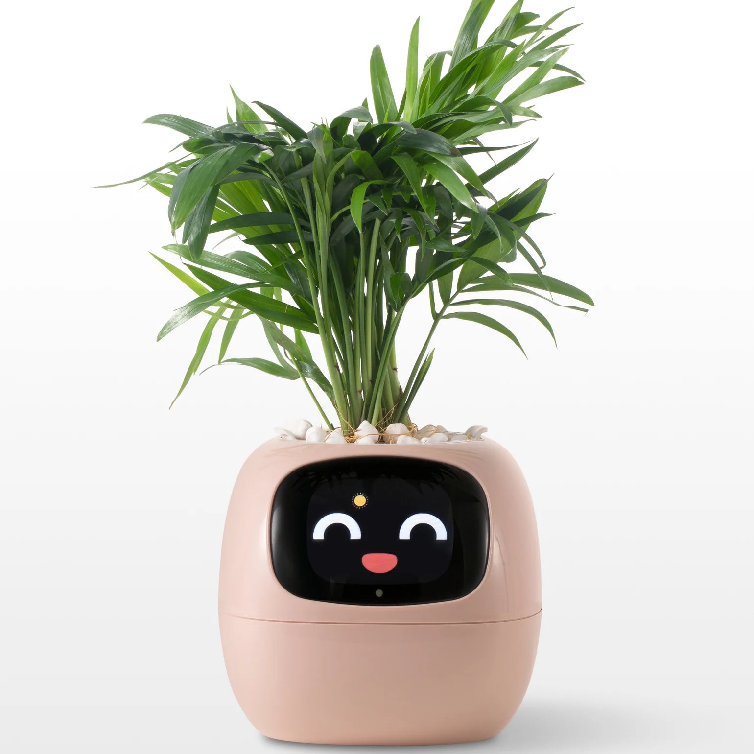 IvySense® Smart Pot